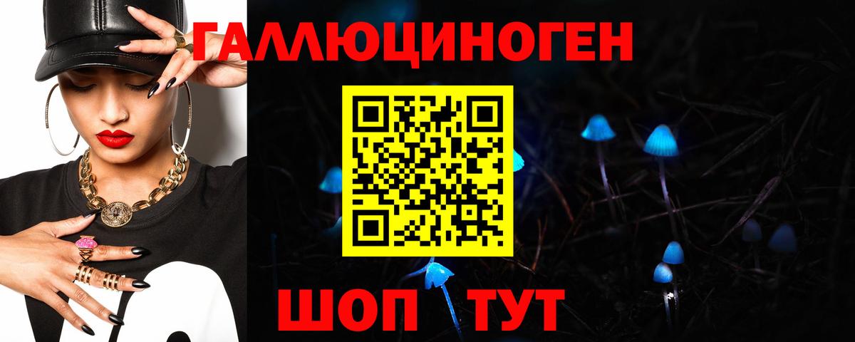 Псилоцибиновые грибы Cubensis Орск